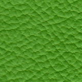 1020-green-melon.jpg